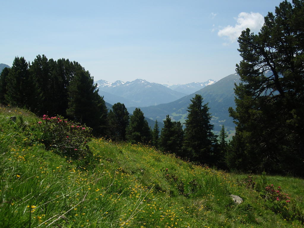 Ferienwohnungen Schöpf Jerzens Exterior foto